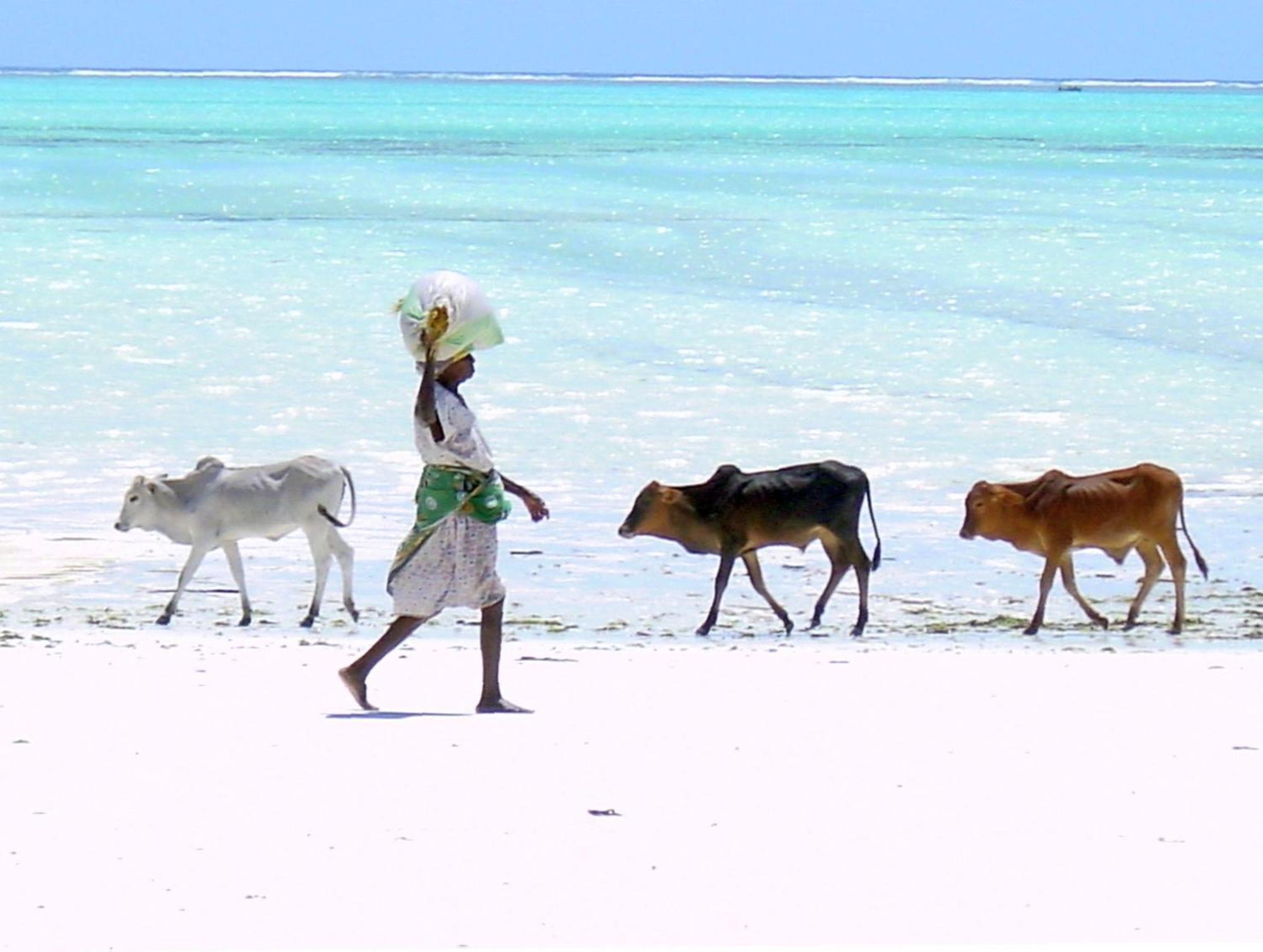Villa Bahati Zanzibar Jambiani  Exterior foto